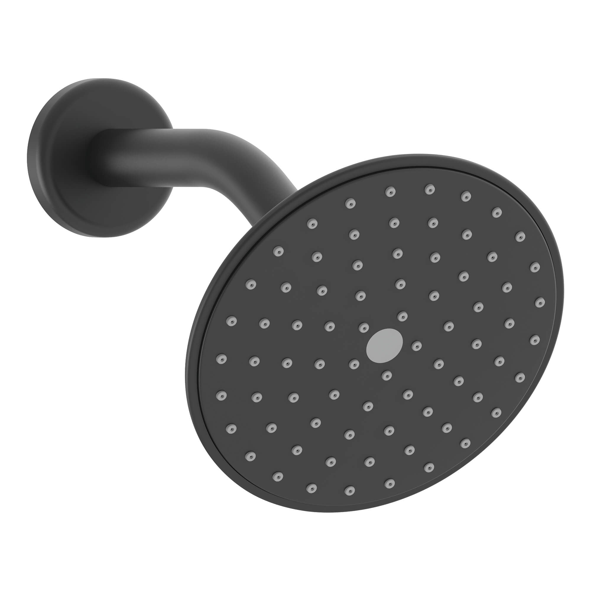 Montana 1-Spray Showerhead