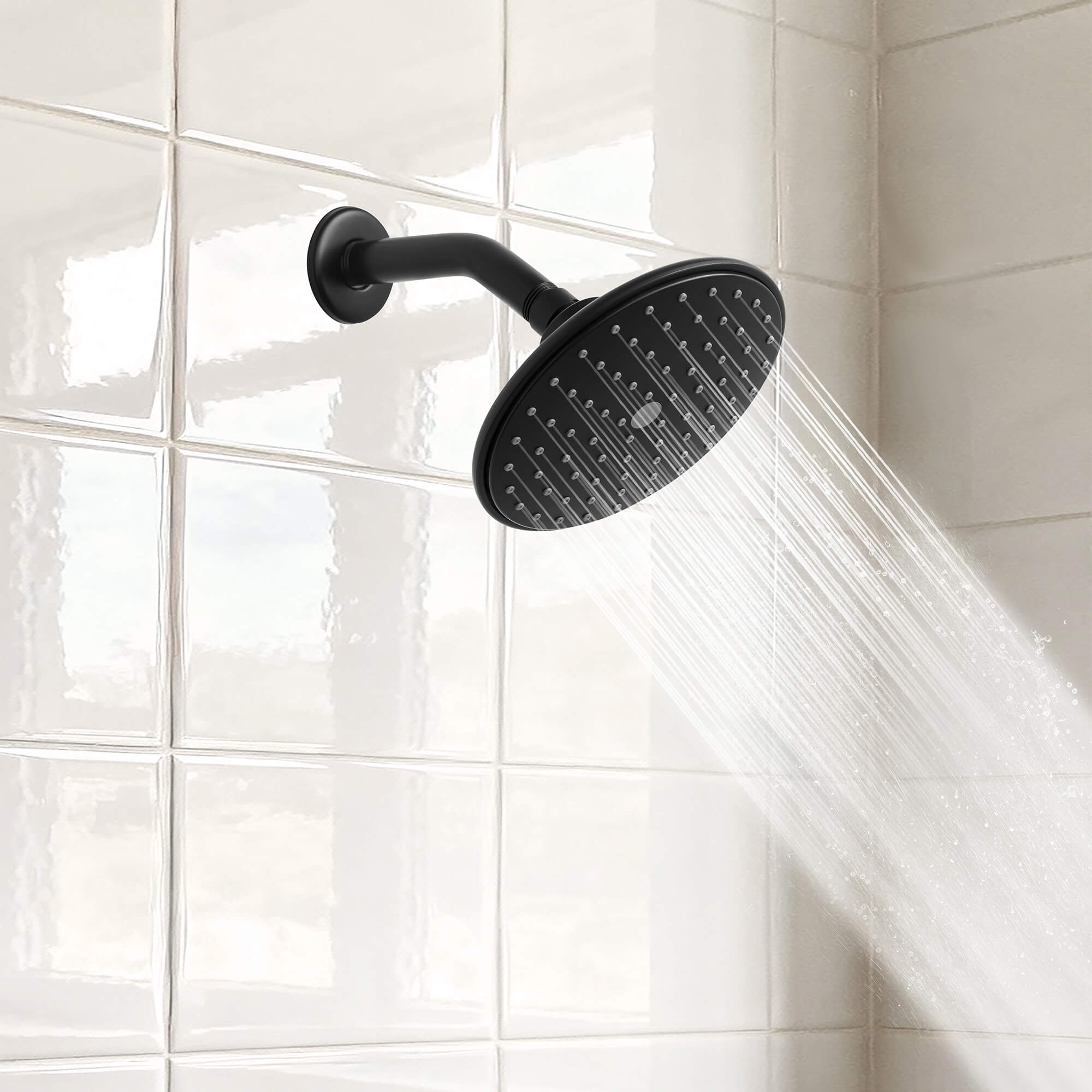 Montana 1-Spray Showerhead