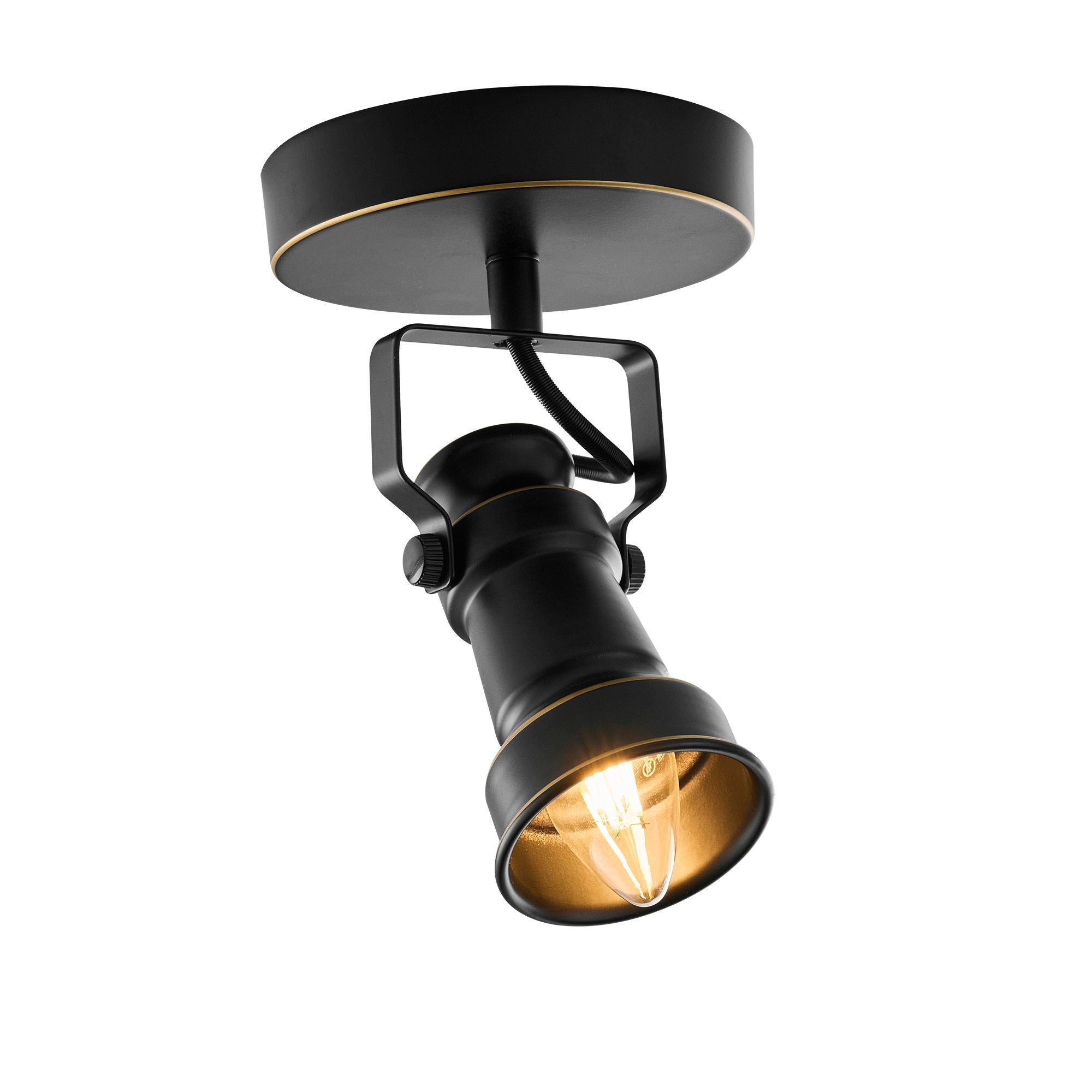 Viran 1-Light Track Lighting