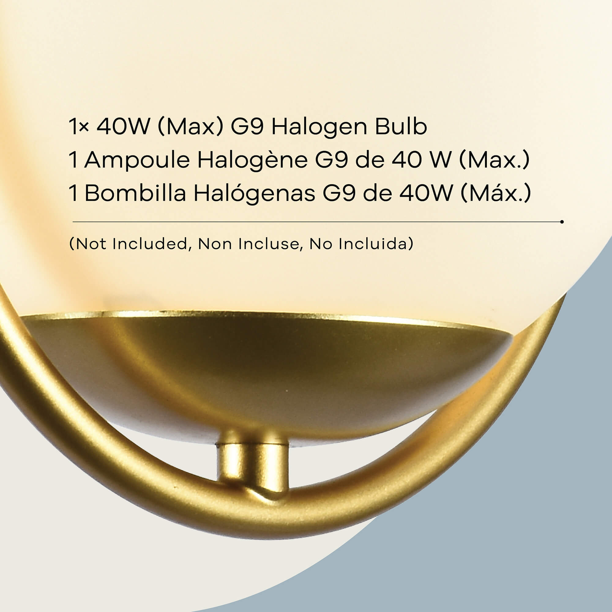 Calypso 1-Light Wall Sconce